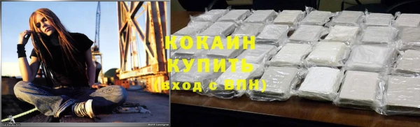 молекула духа Арсеньев