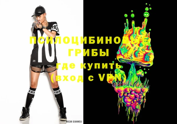 PSILOCYBIN Балабаново