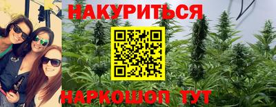скорость Кингисепп