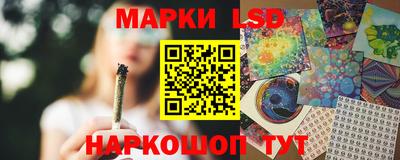 скорость Кингисепп