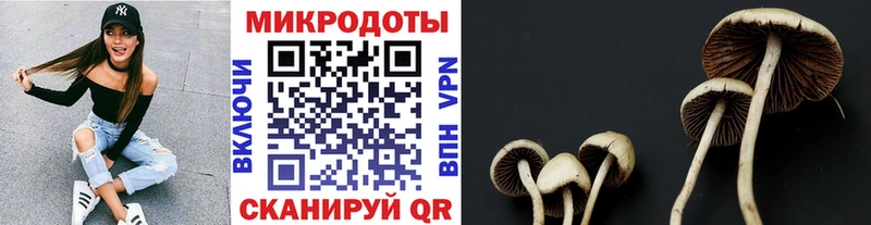 как найти закладки  mega как войти  Галлюциногенные грибы прущие грибы  Кировск 