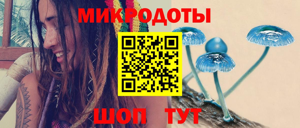 Кировск  Псилоцибиновые грибы Cubensis  Псилоцибиновые грибы Cubensis  купить  цена  Вход с VPN 
